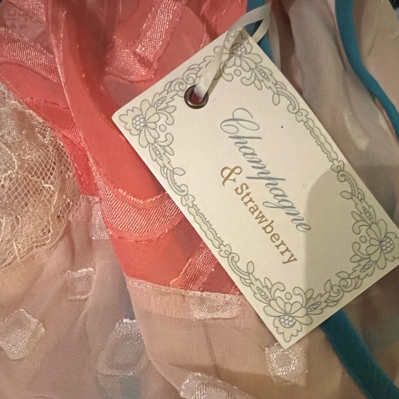 Anthropologie dress- Champagne & Strawberry - Picture 6 of 8